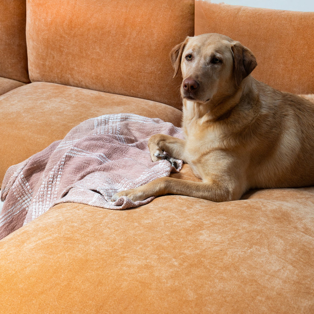 Capa de Sofá de Canto Plush - Caramelo